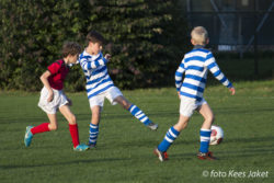 ESC JO11-2 – IJVV JO11-3 (6-3)