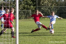 ESC JO11-2 – IJVV JO11-3 (6-3)