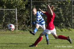 ESC JO11-2 – IJVV JO11-3 (6-3)
