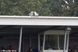 Elburger SC – vv Oene 2-0