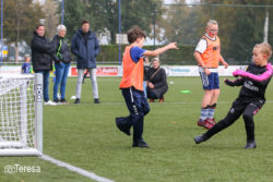 Herfstjeugd toernooi