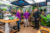 Tuincentrum de Nieuwstad nieuwe sponsor