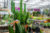 Tuincentrum de Nieuwstad nieuwe sponsor