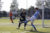 Elburger Sportclub verliest derby tegen DSV ’61: 1-4 !