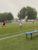 Wederom winst ESC VR1, 7-0 tegen Be Quick’28 VR 4