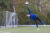 Geslaagd Mix toernooi