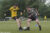 Buddy’s Cup 2025: Succesvol voetbaltoernooi brengt teams uit hele regio samen in Elburg