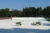 Voortgang ESC-velden 11-08-2025