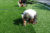 Voortgang ESC-velden 14-08-2025