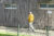 Voortgang ESC-velden 20-08-2025