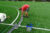 Voortgang ESC-velden 28-08-2025