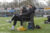 Volop actie op velden bij ESC